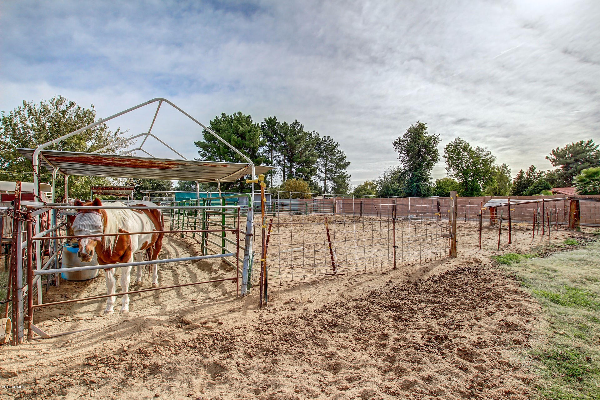 13839 East Ray Road Gilbert, AZ 85296 - Photo 20 of 59 Ray (5)