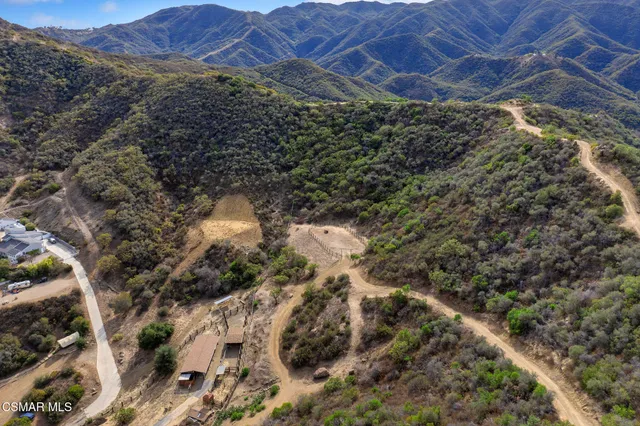 a view of a lush green forest with lots of trees