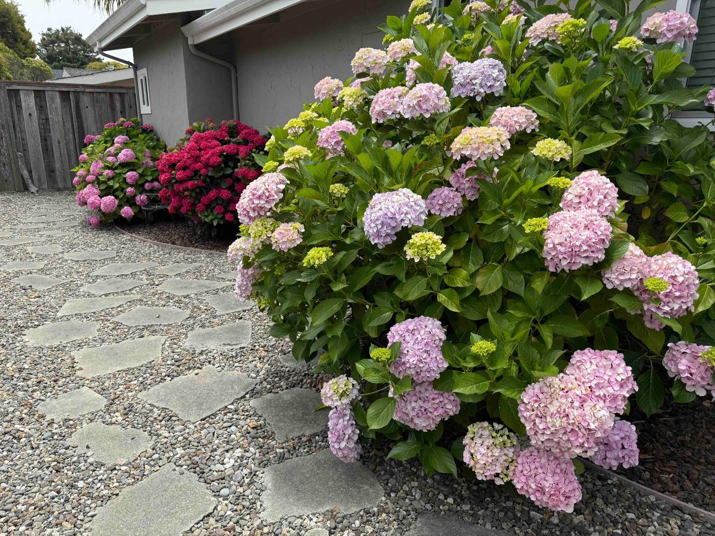 522 Spruce Street Aptos, CA 95003 - Photo 34 of 47