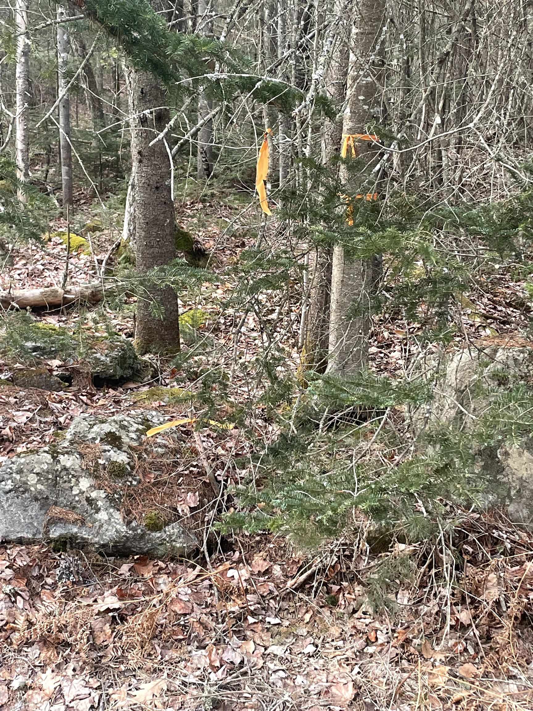 38-1 Tom Berry Road Center Barnstead, NH 03225 - Photo 3 of 4