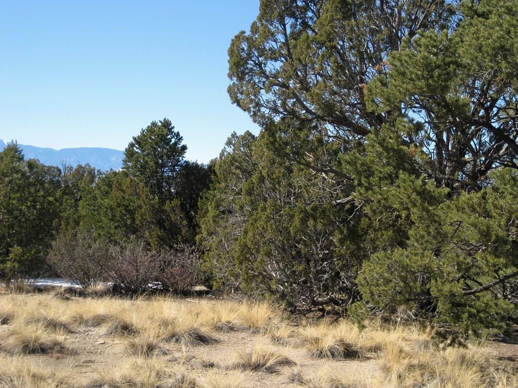 Lot 8 Wyatt Court Rye, CO 81069 - Photo 17 of 21