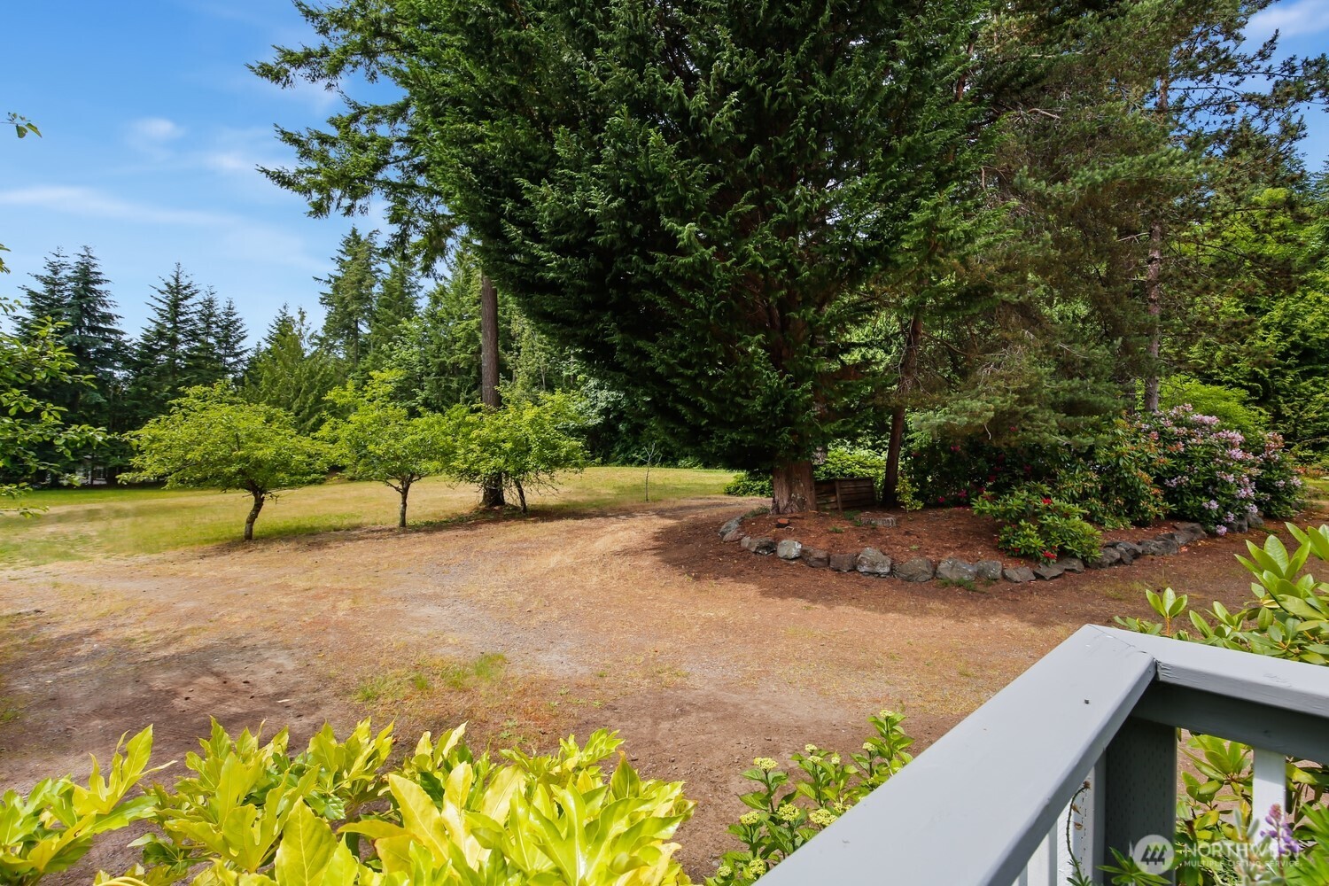 2670 Southeast Bielmeier Road Port Orchard, WA 98367 - Photo 29 of 39 a view of a yard with a tree