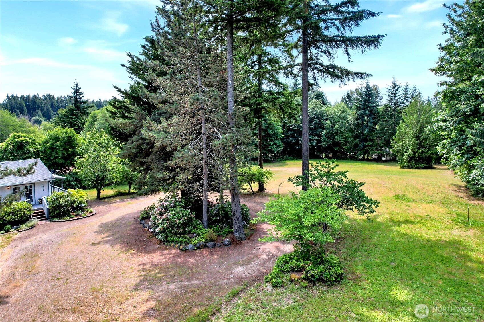 2670 Southeast Bielmeier Road Port Orchard, WA 98367 - Photo 3 of 39 a view of a yard with plants and large trees