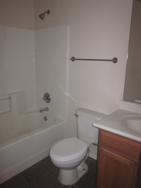 3808 East Diamond Road Gilbert, AZ 85297 - Photo 17 of 31 Hall Bathroom #1