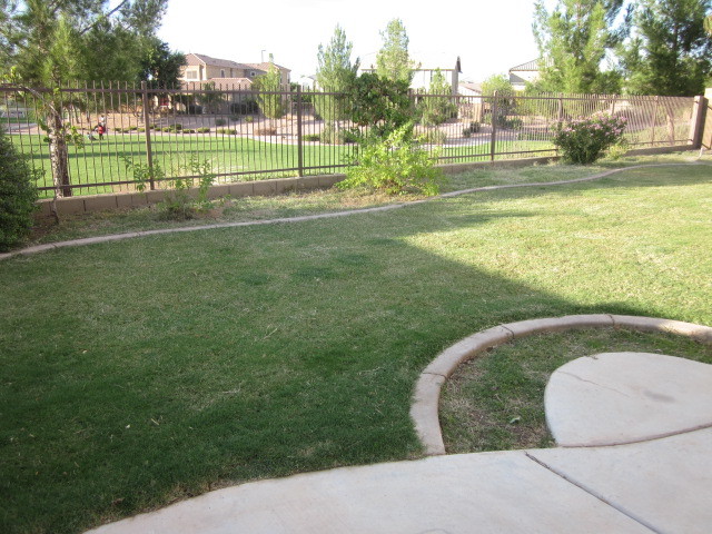 3808 East Diamond Road Gilbert, AZ 85297 - Photo 27 of 31 Backyard