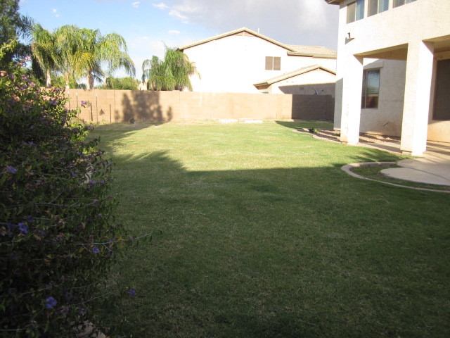 3808 East Diamond Road Gilbert, AZ 85297 - Photo 28 of 31 Backyard View 2