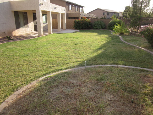 3808 East Diamond Road Gilbert, AZ 85297 - Photo 29 of 31 Backyard View 3
