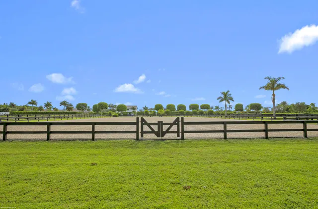 a view of a park with large trees