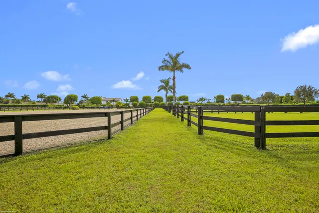 a view of a park with large trees