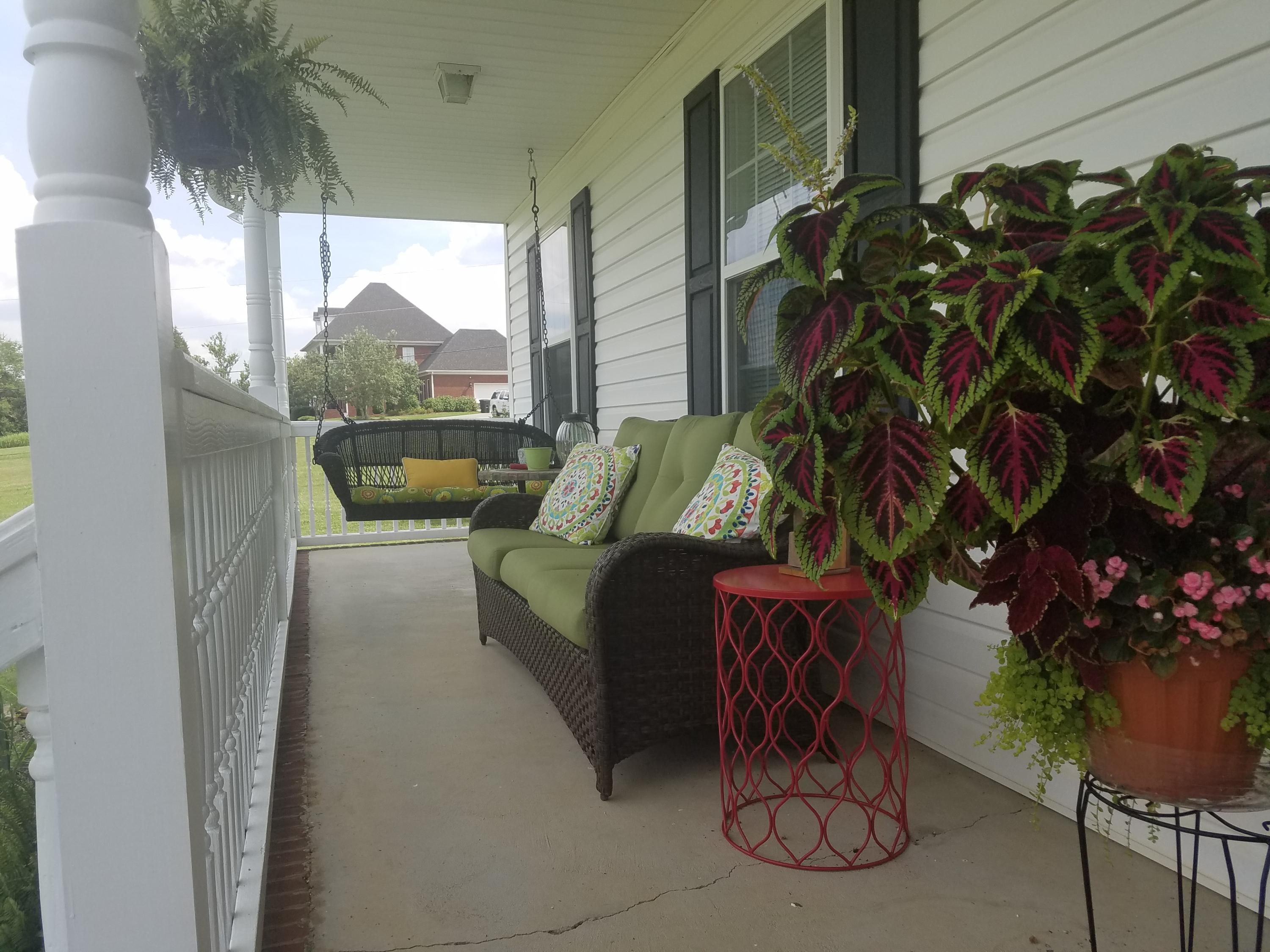 4116 Light Pink Road Louisville, TN 37777 - Photo 11 of 35 20170720_162659