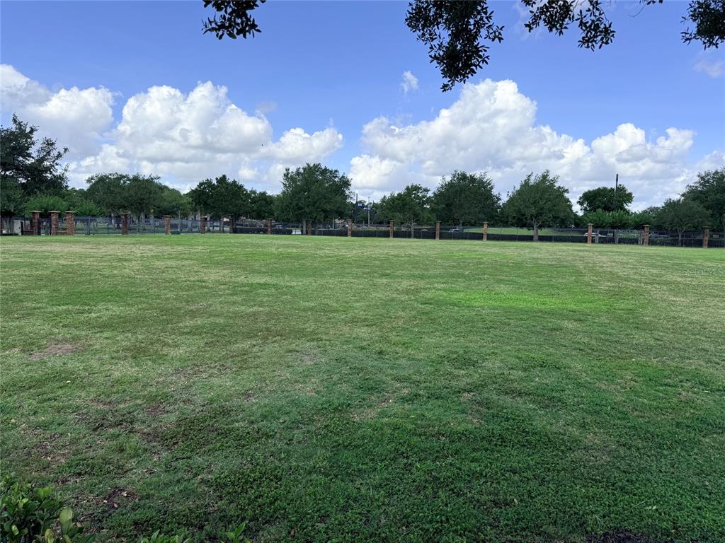 2084 Water Tupelo Way Ocoee, FL 34761 - Photo 33 of 34 a view of field with trees in the background