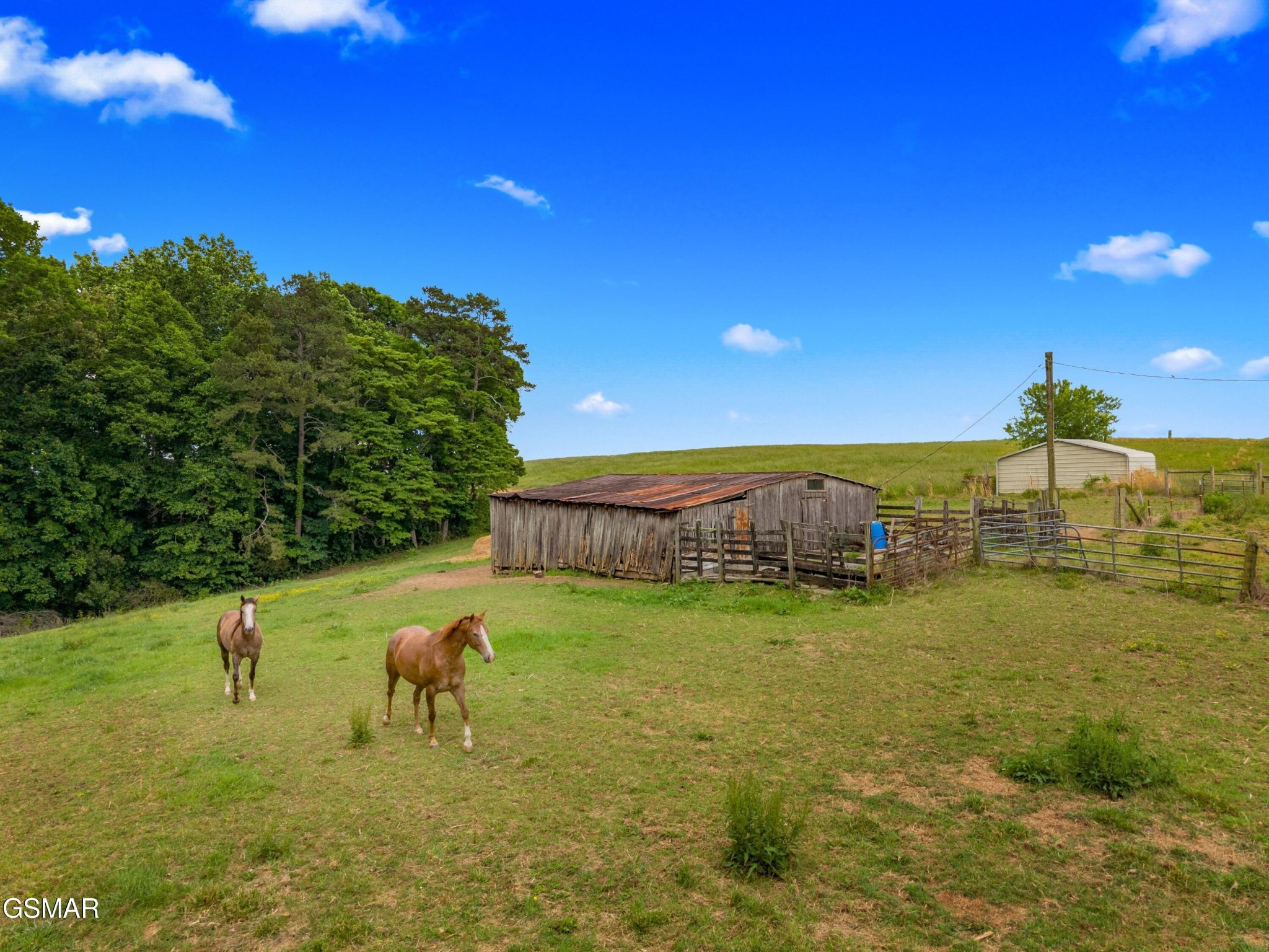 485 Longmire Road Rutledge, TN 37861 - Photo 6 of 28 Gallery Image 6