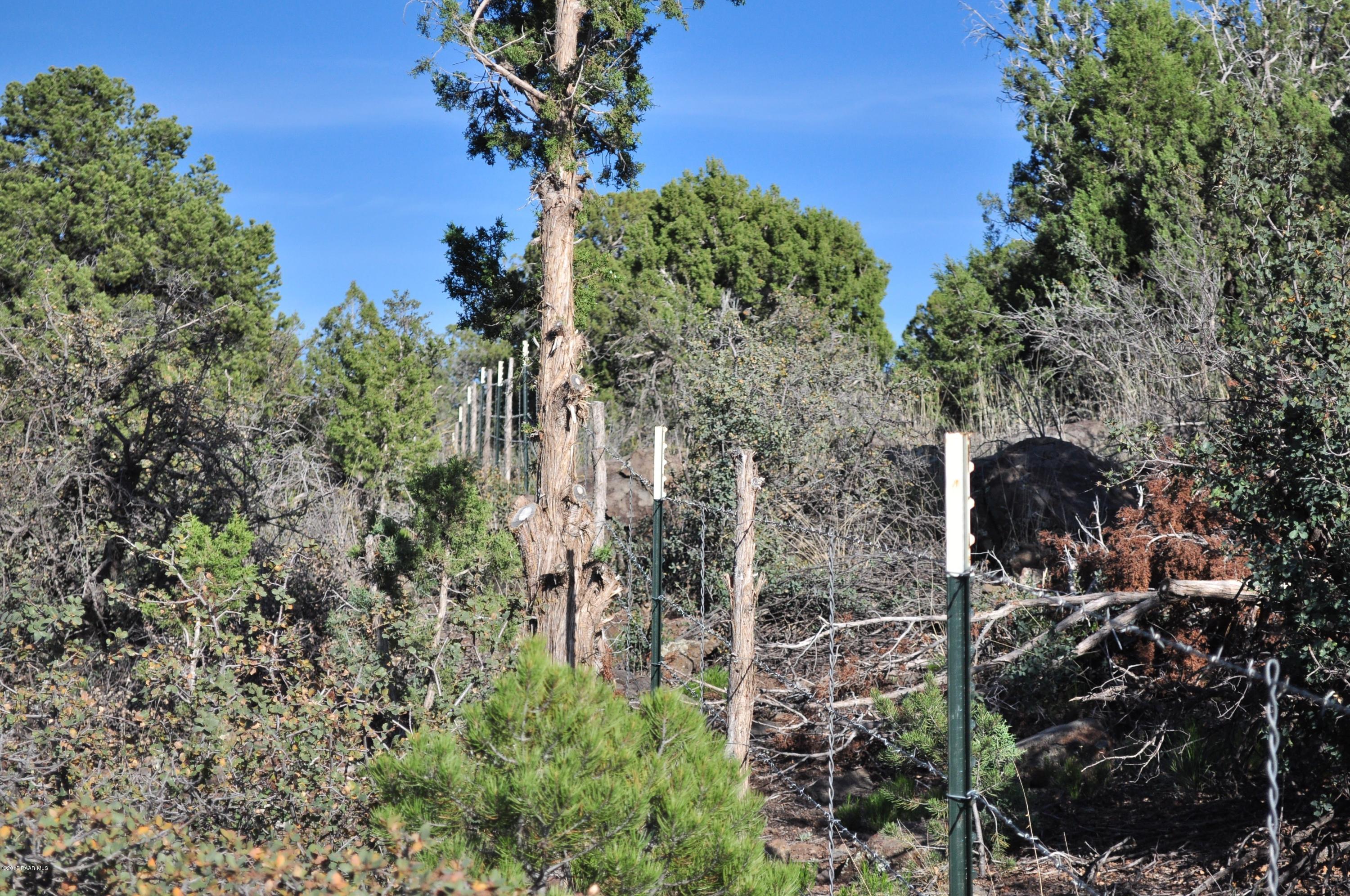 4301 Young Road Prescott, AZ 86305 - Photo 10 of 11 010_Fence Line