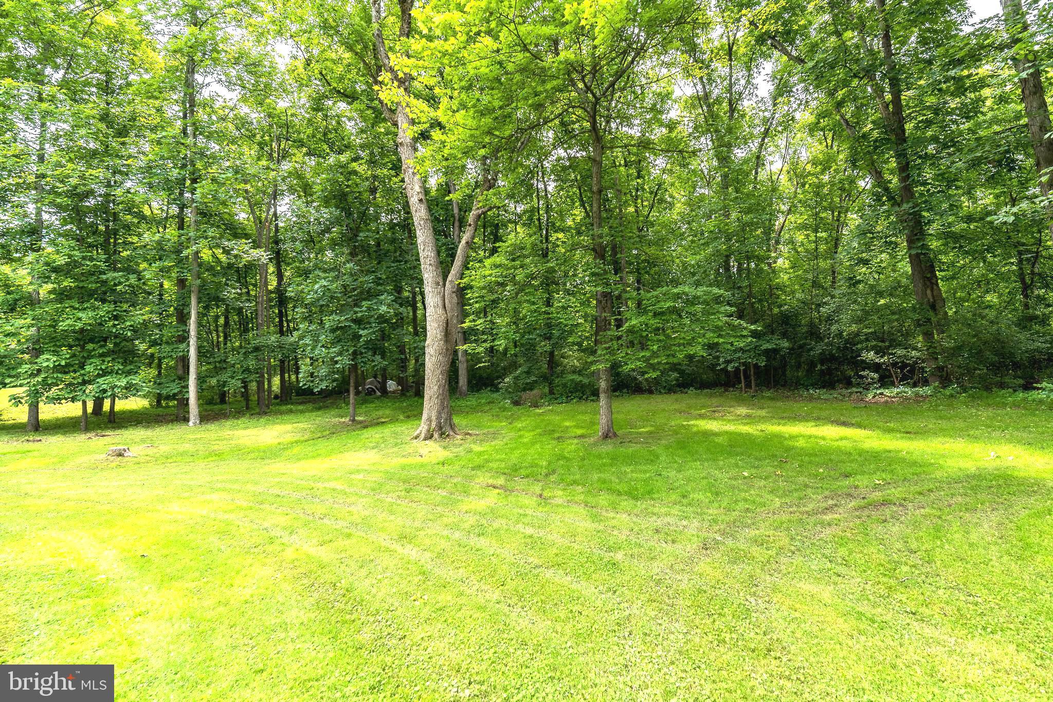 575 Scott Road Pipersville, PA 18947 - Photo 66 of 70 Rear Yard