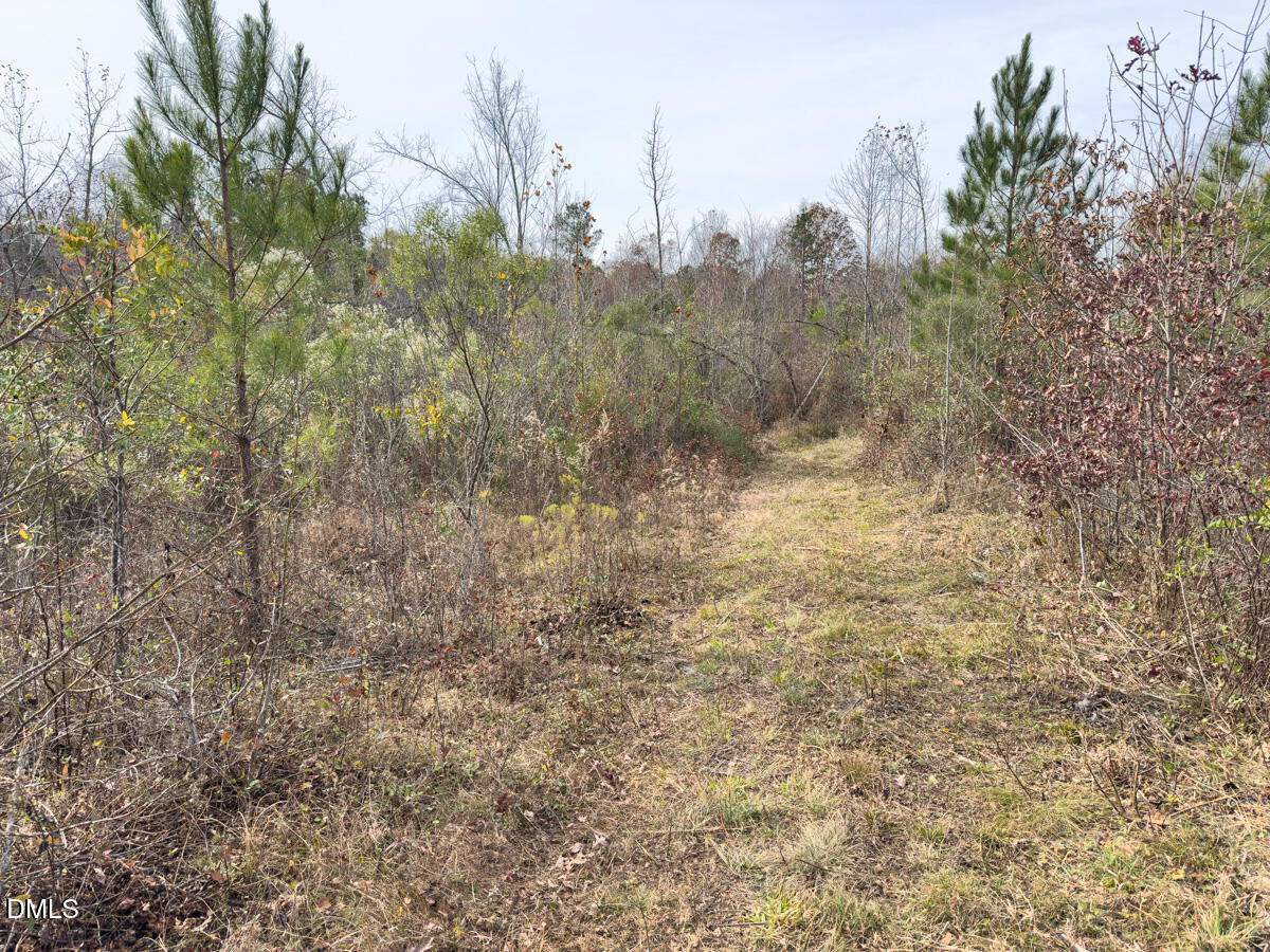0 Mann Oakley Road Rougemont, NC 27572 - Photo 13 of 55 12