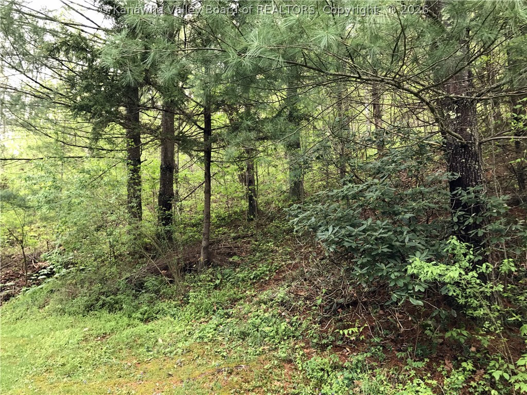 781 Gabe Road Clendenin, WV 25045 - Photo 17 of 25 Gallery Image 17