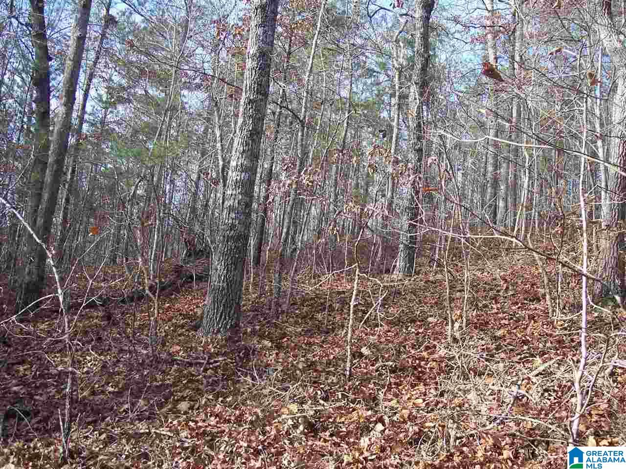 4 Dripping Rock Road, Unit 4 Piedmont, AL 36272 - Photo 6 of 12
