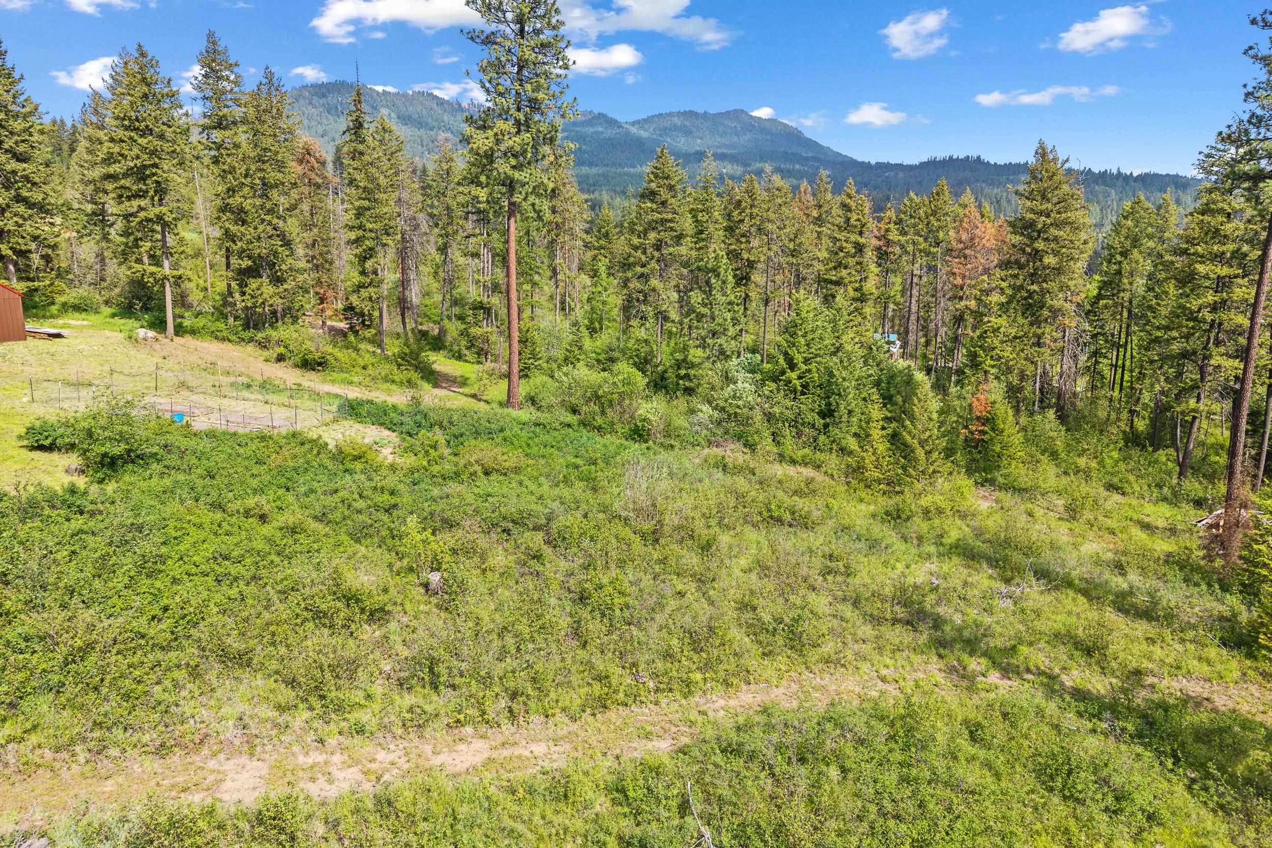 4045 Deer Creek Road Valley, WA 99181 - Photo 43 of 44