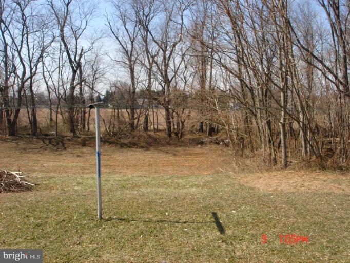 6038 Rohrersville Road Boonsboro, MD 21713 - Photo 7 of 8 Wooded View / Acreage