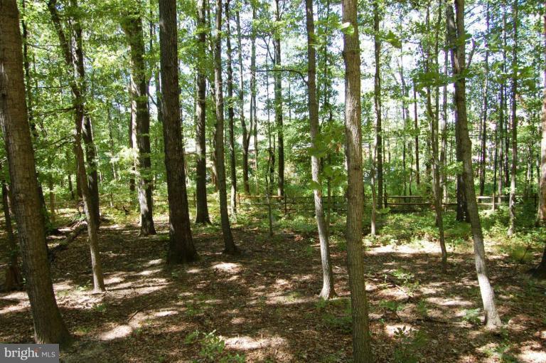 2408 Andorra Place Reston, VA 20191 - Photo 10 of 12 Back yard