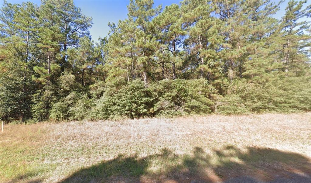 17050 Adler Road Waller, TX 77484 - Photo 2 of 5