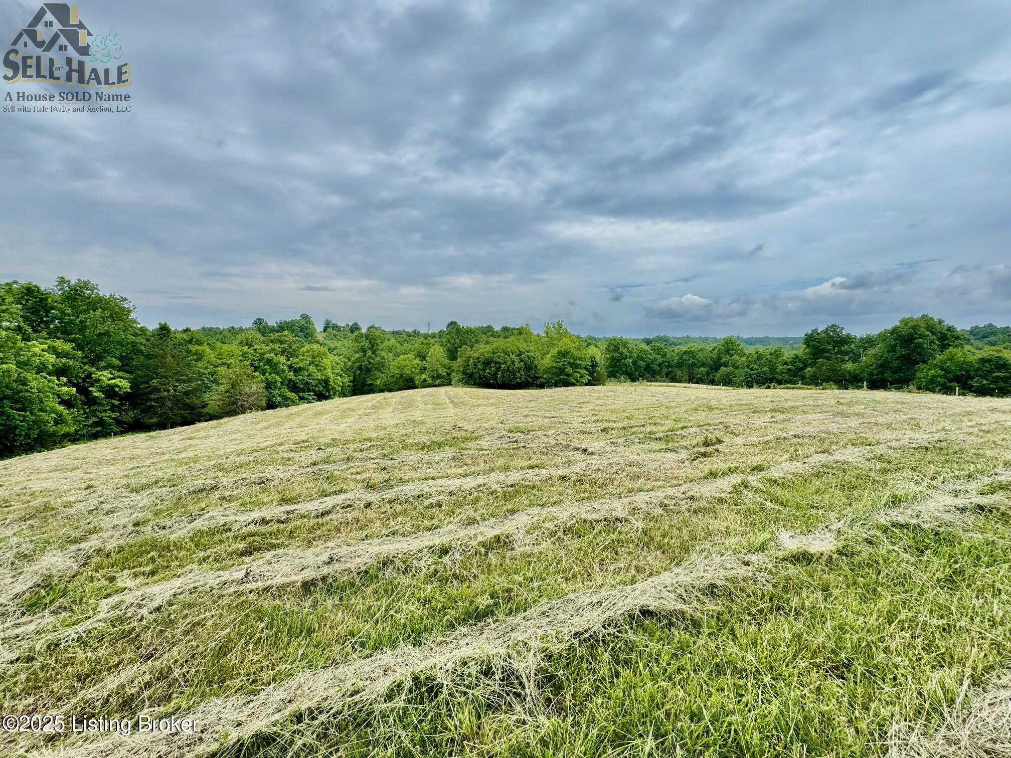 Tr1 Polin Road Willisburg, KY 40078 - Photo 2 of 14 IMG_2889