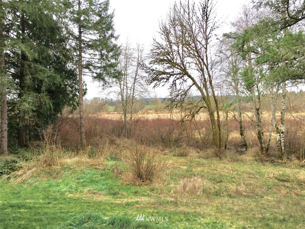 14127 Littlerock Road Southwest Rochester, WA 98579 - Photo 3 of 24