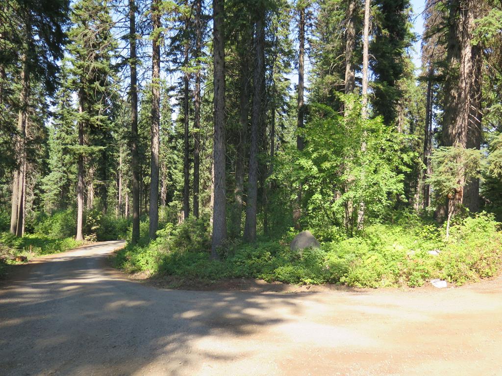 Tbd John Alden Road, Unit 1 McCall, ID 83638 - Photo 1 of 1 Main View