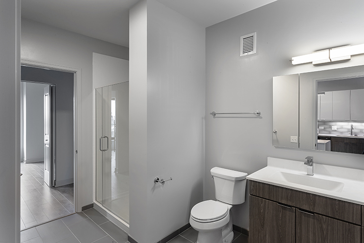 1025 West Addison Street, Unit 701 Chicago, IL 60613 - Photo 8 of 17 a bathroom with a sink a toilet and shower