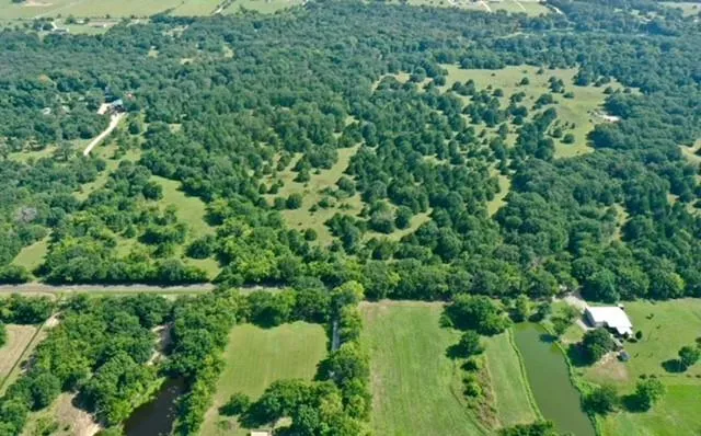 a view of a lush green forest with lots of trees