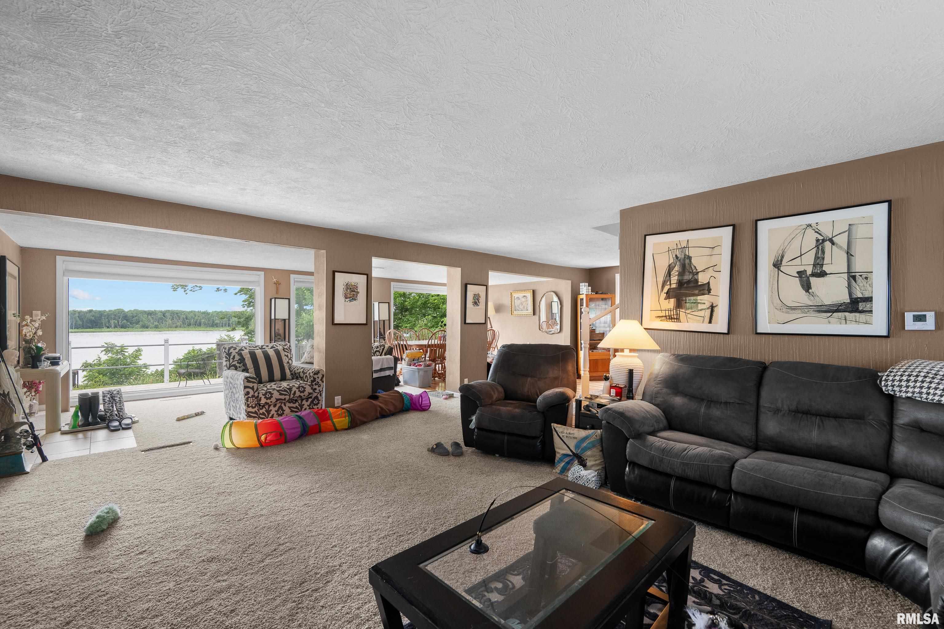 21116 River Road North Cordova, IL 61242 - Photo 27 of 44