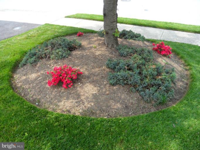 6101 Spring Meadow Lane Frederick, MD 21701 - Photo 14 of 18 LANDSCAPING