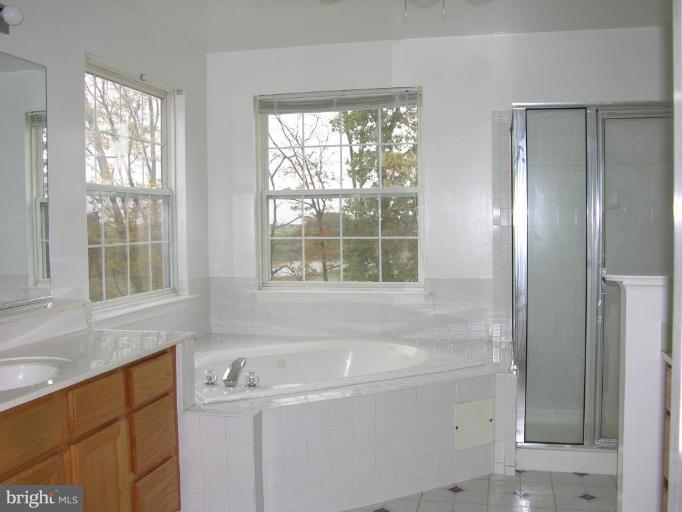 8801 Talbert Road Lorton, VA 22079 - Photo 10 of 24 Master Bath