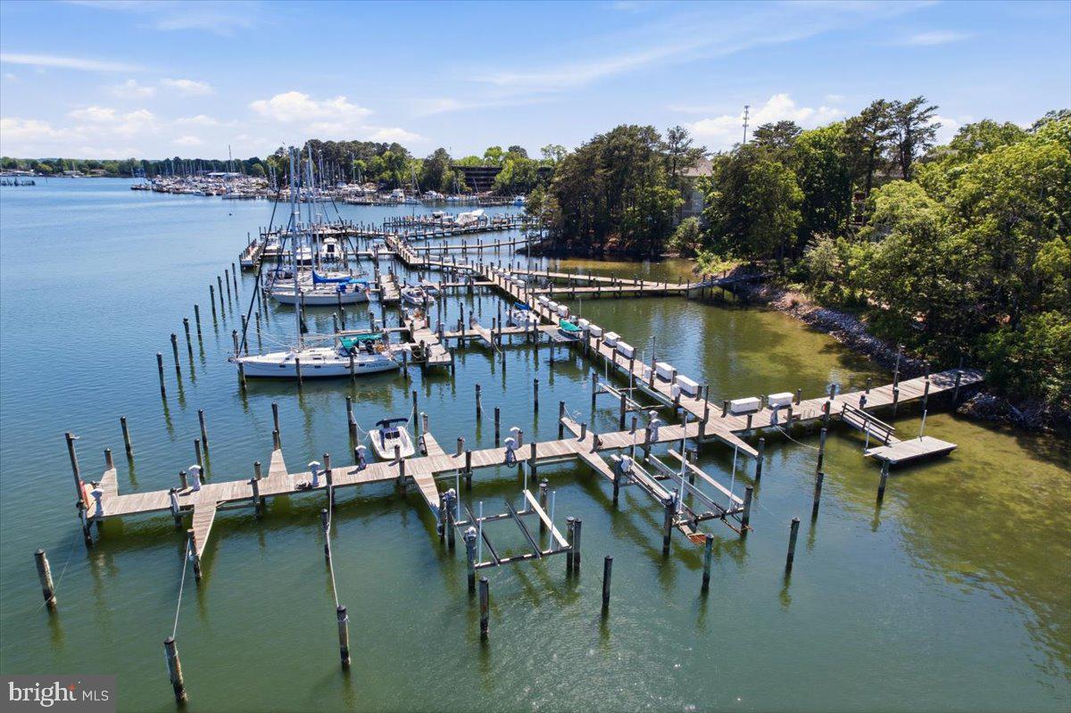 1126 Back Creek Loop, Unit 1126 Solomons, MD 20688 - Photo 42 of 47 a view of a lake with a table and chairs