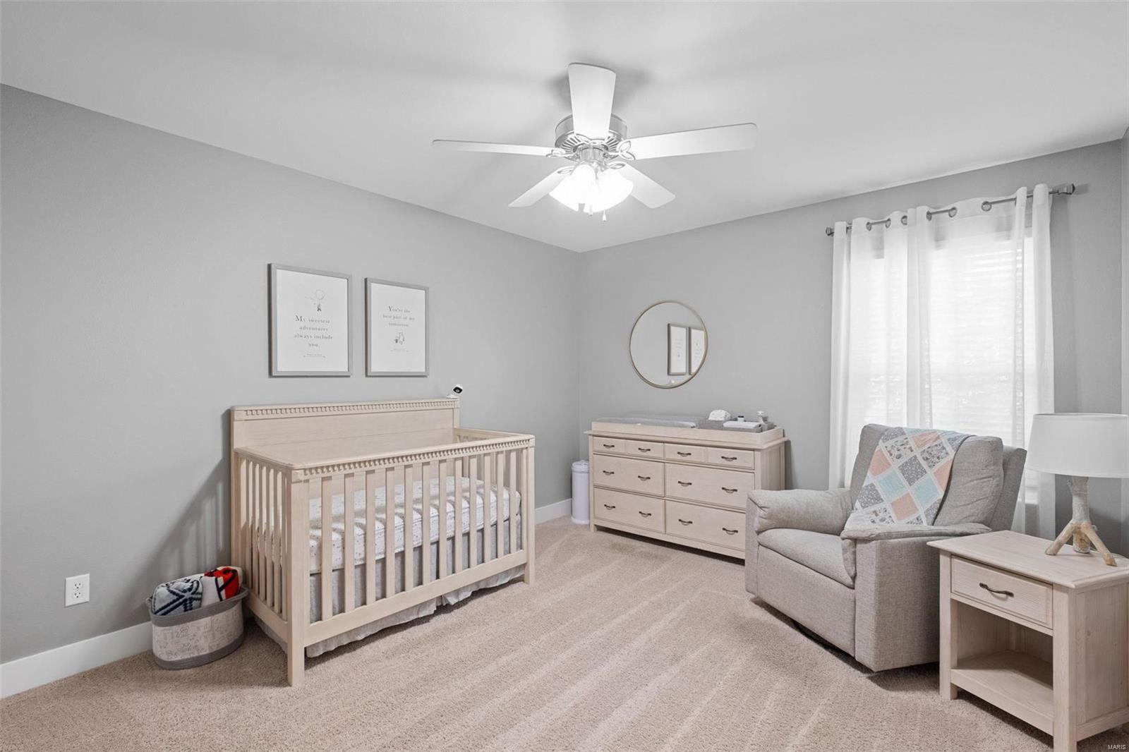 1641 Timber Ridge Columbia, IL 62236 - Photo 35 of 64 Gallery Image 35