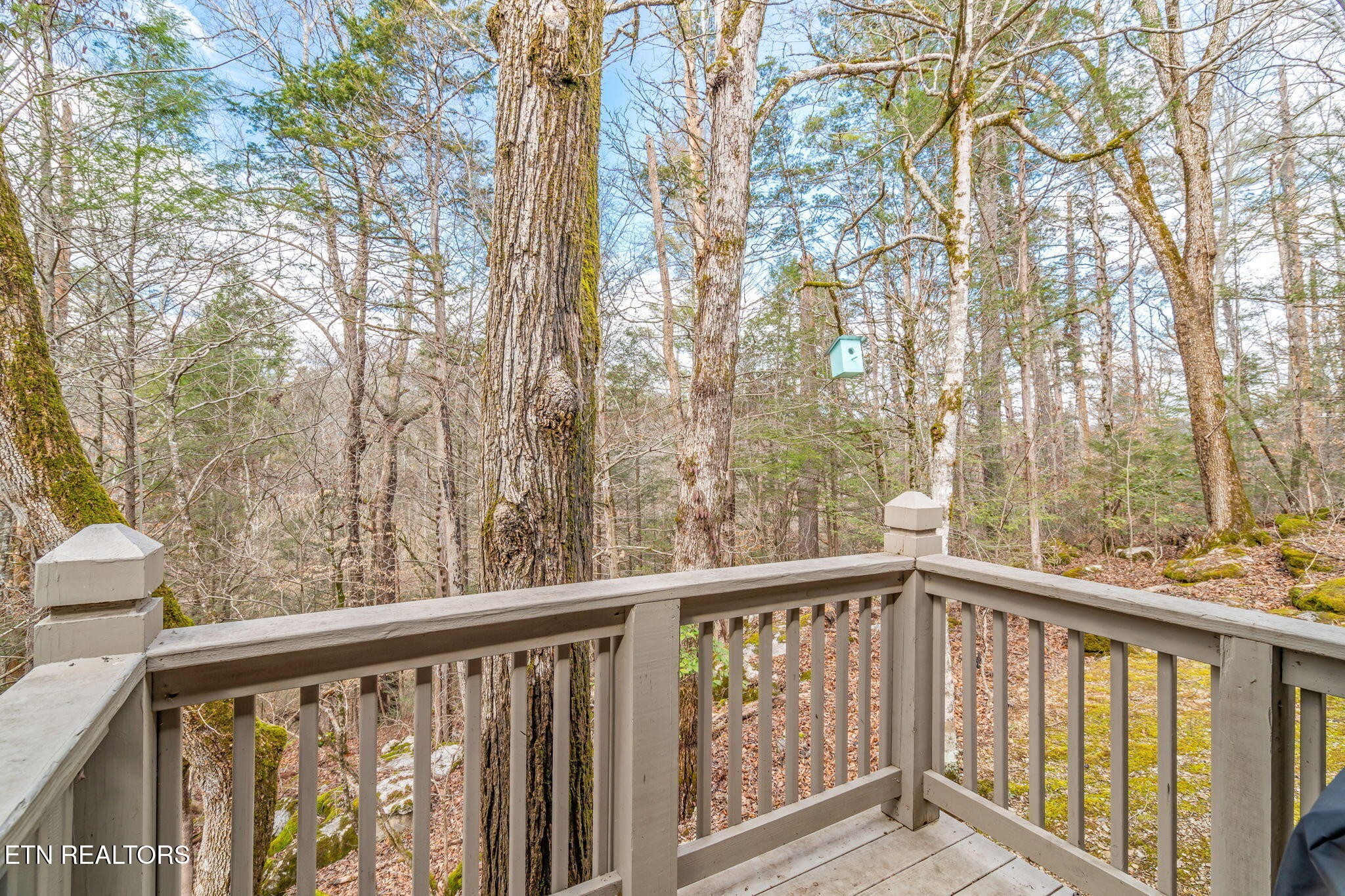 151 Sequoyah Village Road Townsend, TN 37882 - Photo 41 of 60