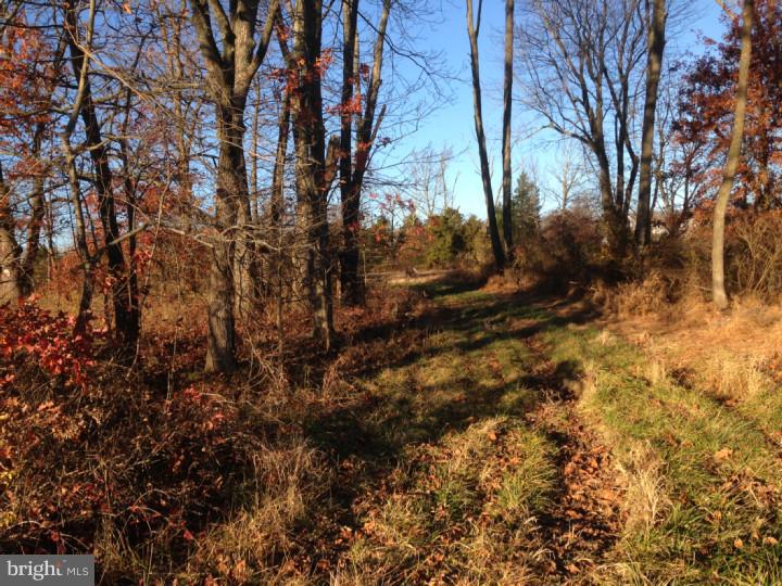 L 117 Walters Road Line Lexington, PA 18914 - Photo 2 of 6 Gallery Image 2