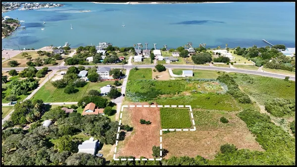 a view of a garden with plants