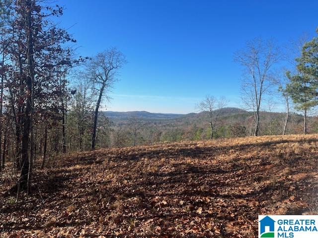 Tablee Lane, Unit 17 65 Ashland, AL 36251 - Photo 2 of 7