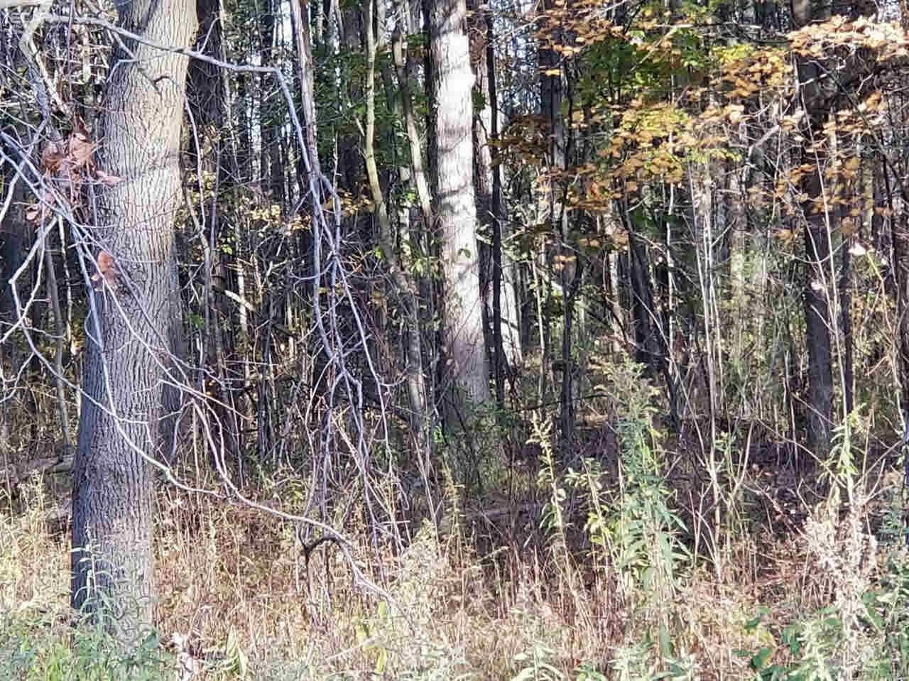 8232 Morrish Road Flushing, MI 48433 - Photo 3 of 7