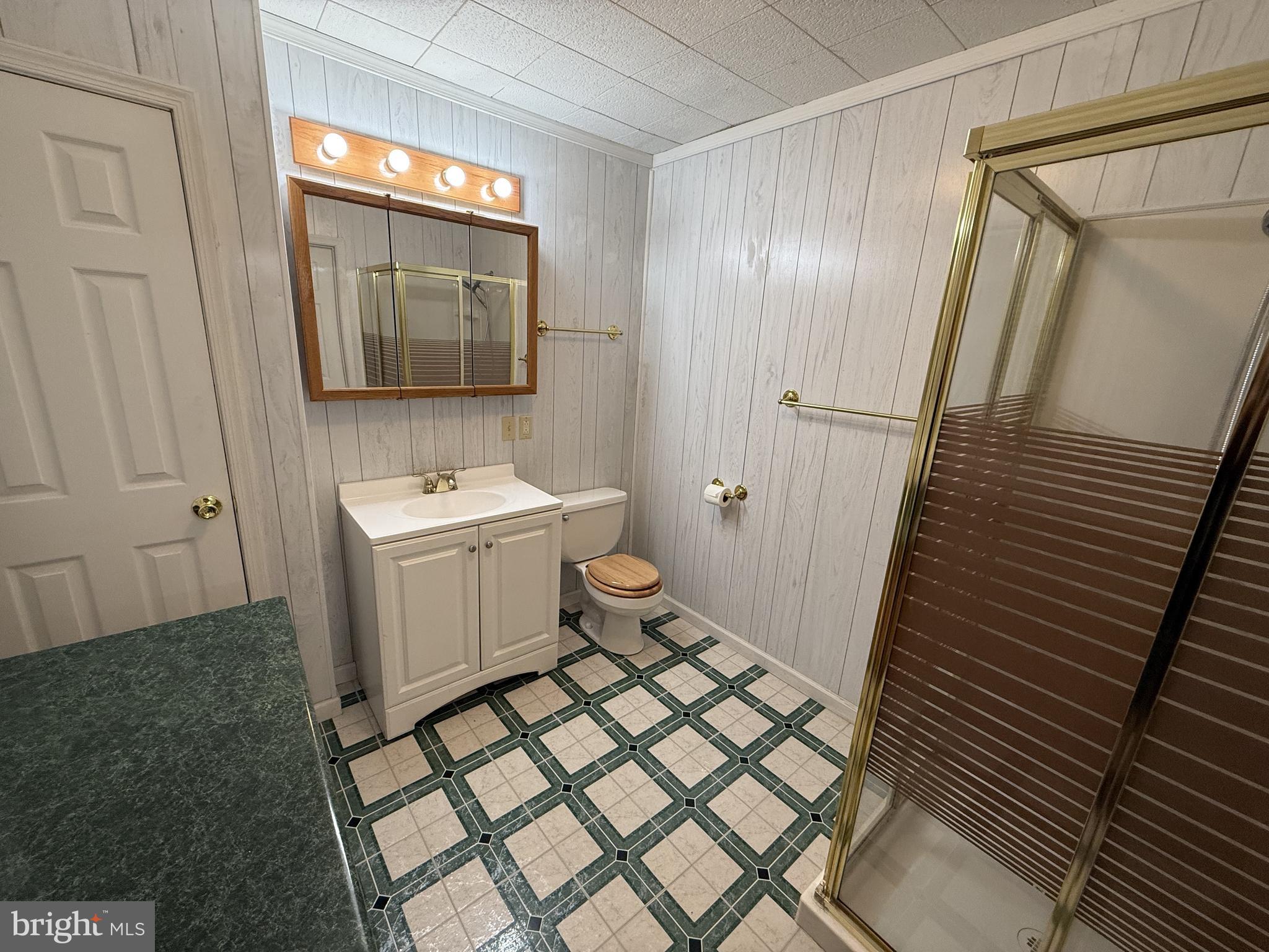 21 Coolidge Road Inwood, WV 25428 - Photo 77 of 80 Lower-Level 3/4 Bath