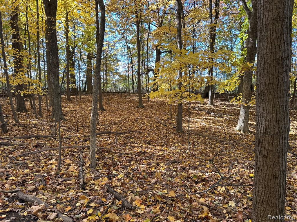 0 Rulane Drive Lapeer, MI 48446 - Photo 11 of 39 Gallery Image 11