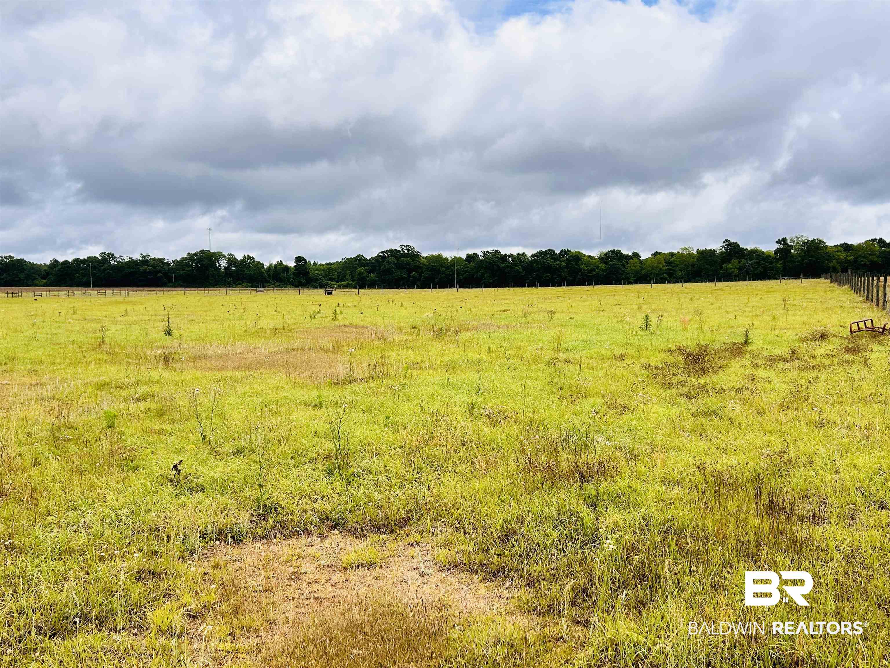 822 Dogwood Road Brewton, AL 36426 - Photo 3 of 5