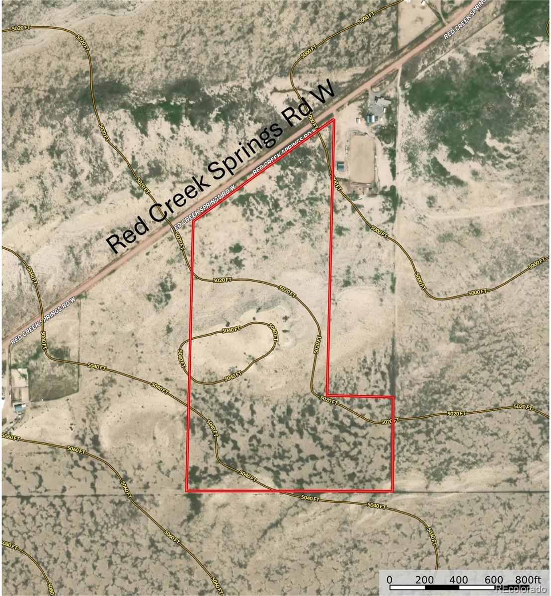 a bench with white tree in front of it