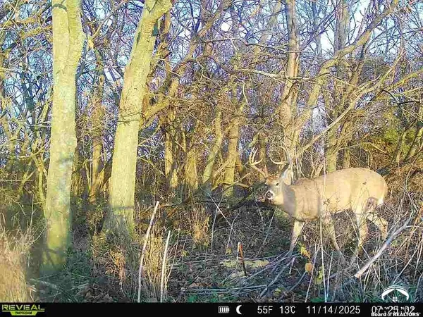 $2,690,000 | 374 North 750 Road, Overbrook, KS 66524