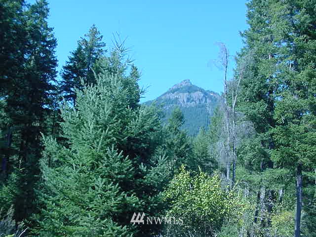 135 Sunstone Road Packwood, WA 98361 - Photo 15 of 23 Gallery Image 15