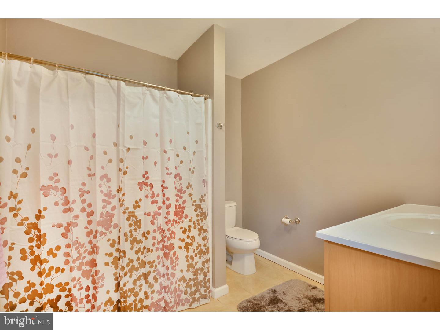 423 Fries Mill Road Franklinville, NJ 08322 - Photo 12 of 19 Master Bathroom