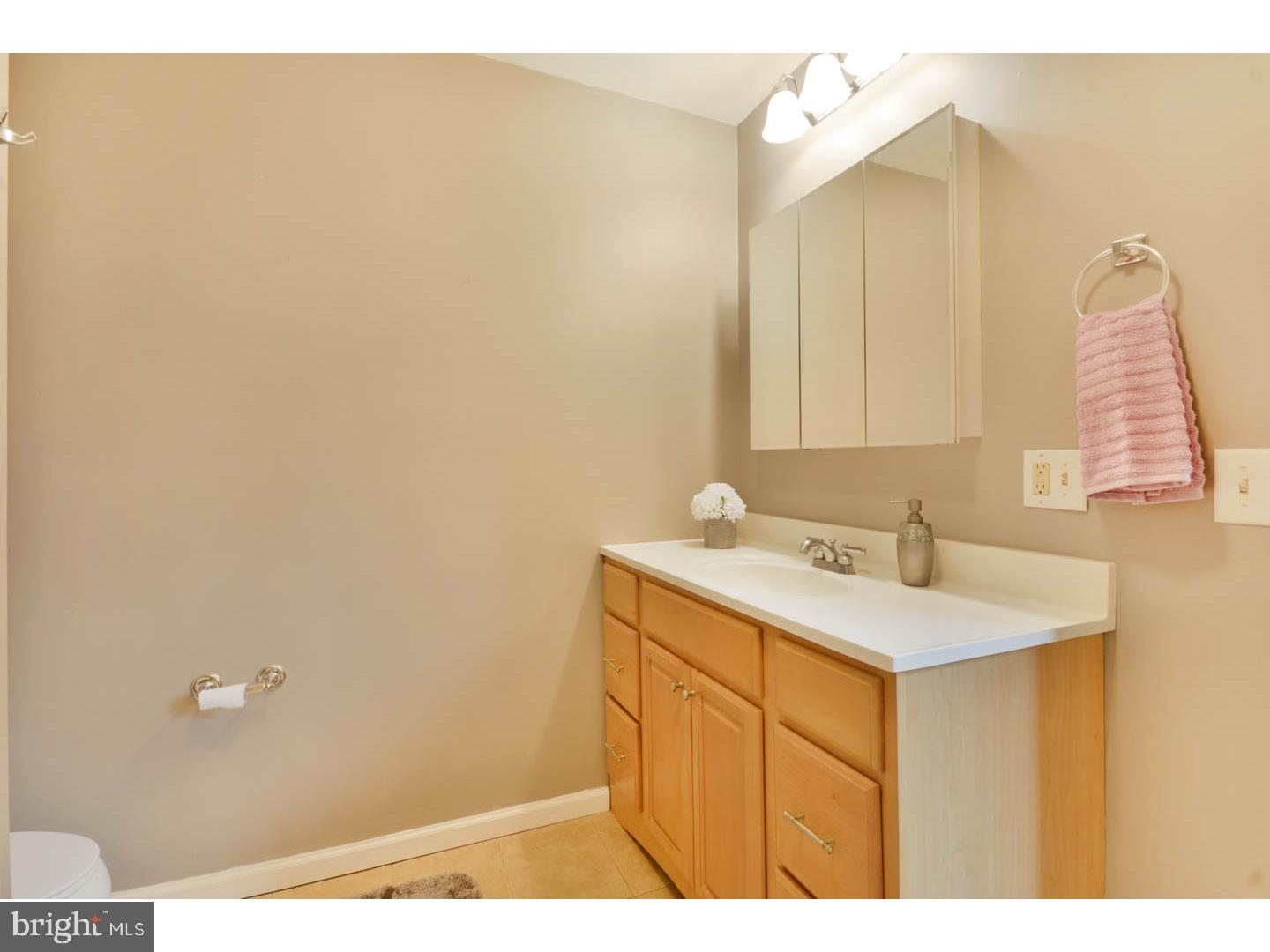 423 Fries Mill Road Franklinville, NJ 08322 - Photo 13 of 19 Master Bathroom