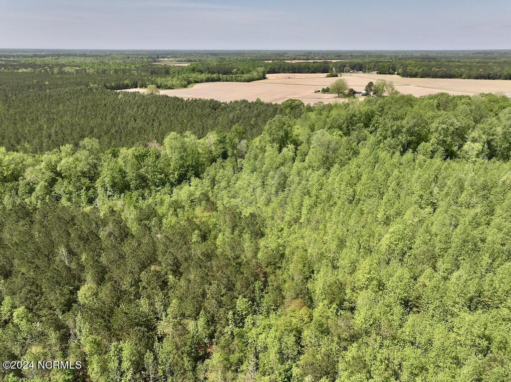 0 Fire Tower Road Jackson, NC 27845 - Photo 16 of 31 17