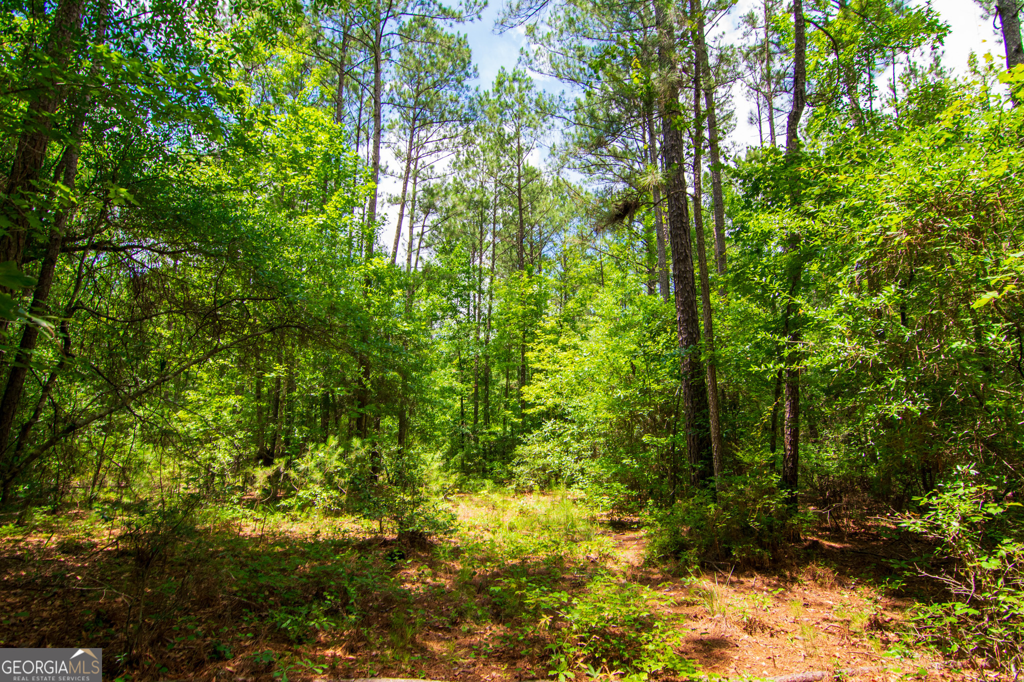 0 White Road Pine Mountain, GA 31822 - Photo 15 of 22